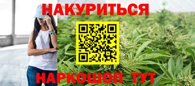 стафф Будённовск