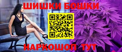 стафф Будённовск