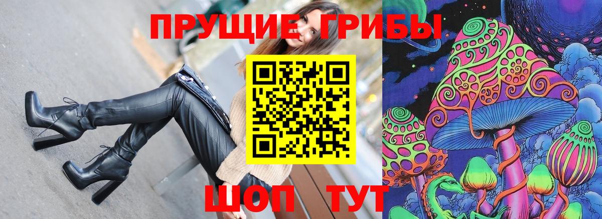 Урус-Мартан  Галлюциногенные грибы Cubensis  Вход с VPN 